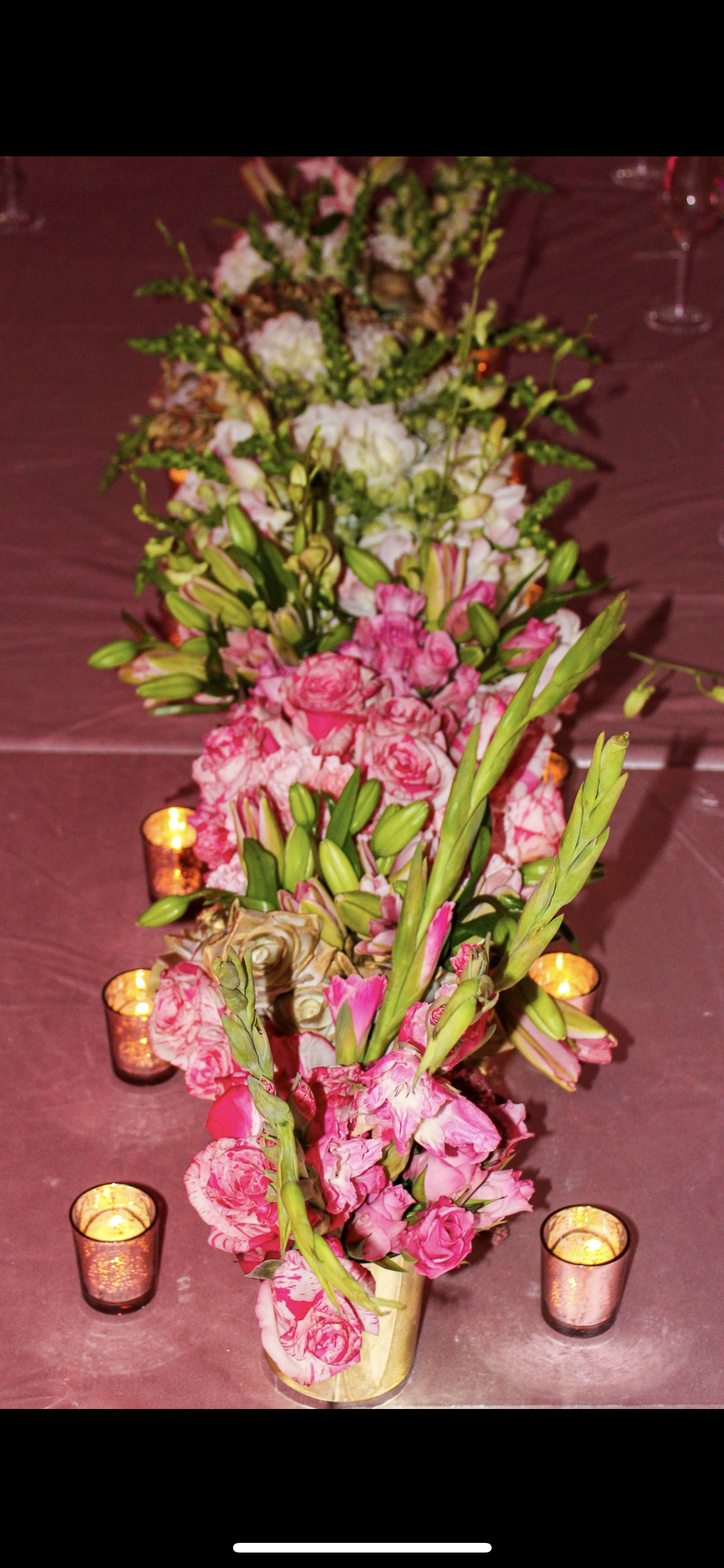IMG_3513.png