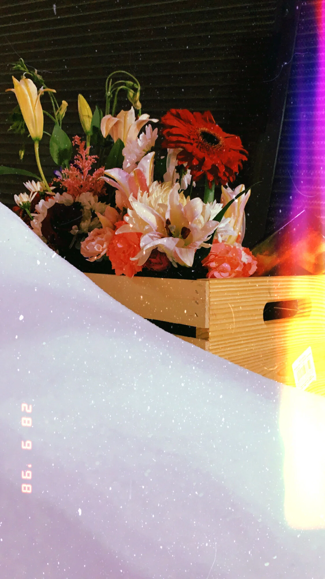 16775FDD-A8CD-4405-B2D4-57D6905FD463.jpeg