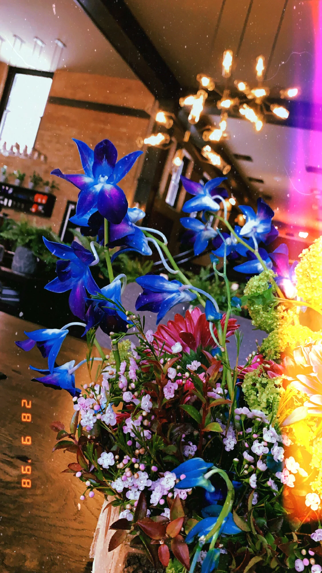 950DD5DC-FDC7-4C8C-89B3-40E0AD9B02B7.jpeg