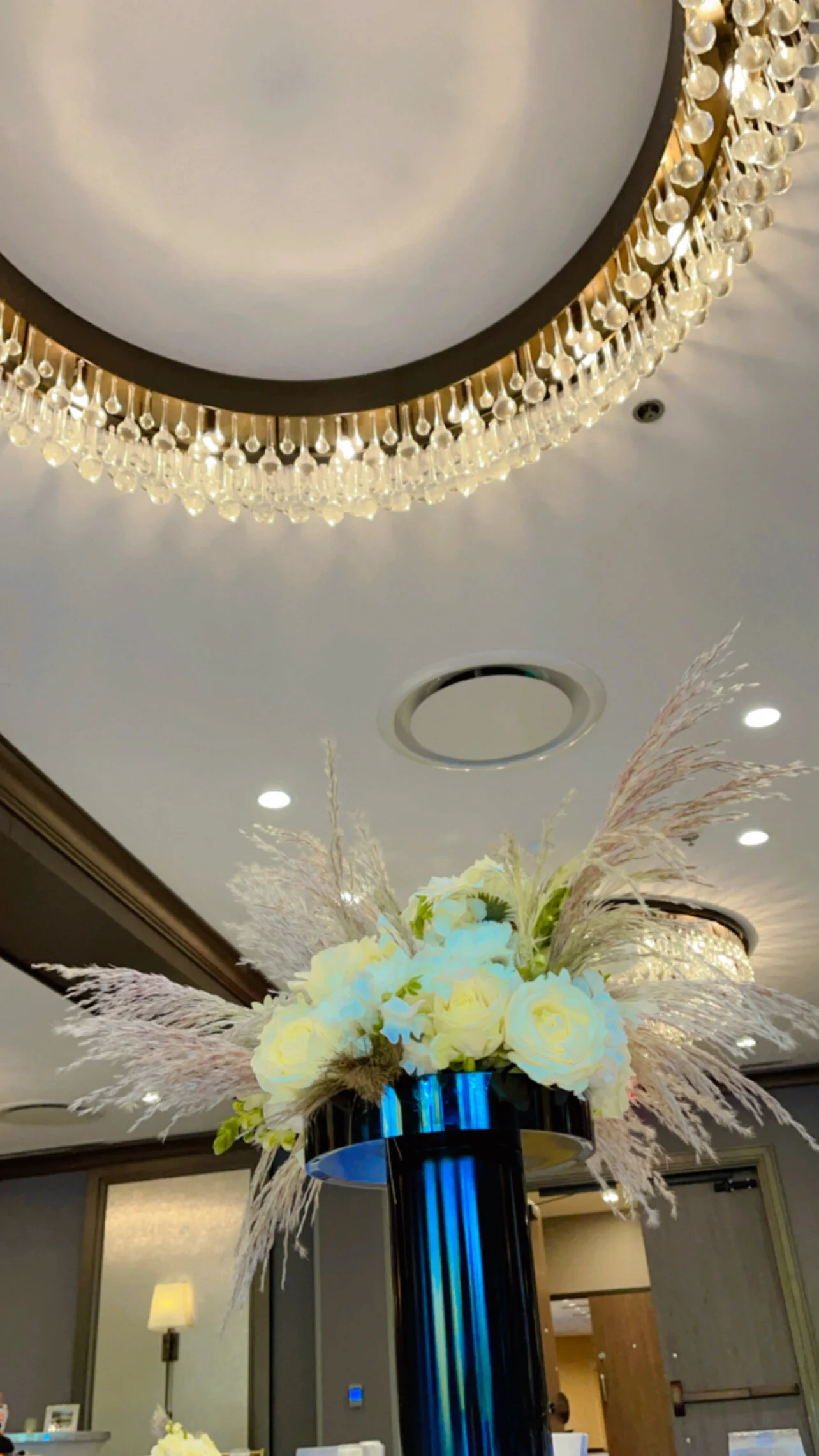 5CED3562-BBD4-4216-A674-687B9DCD72E7.jpeg