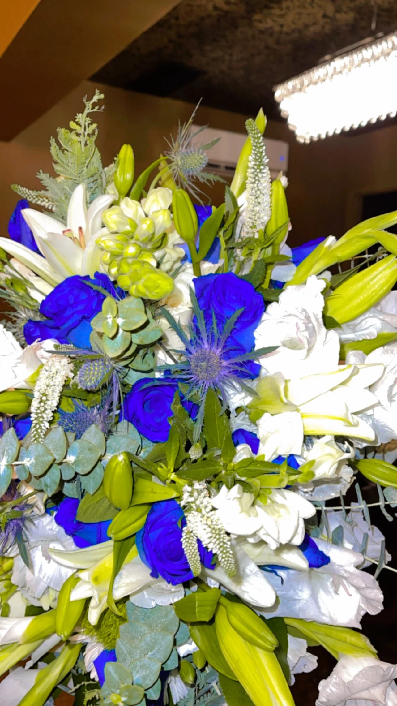 D7E3D52A-0472-4078-B8AD-6CBF218FBC03.jpeg