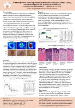 A4 poster icon#1.jpg