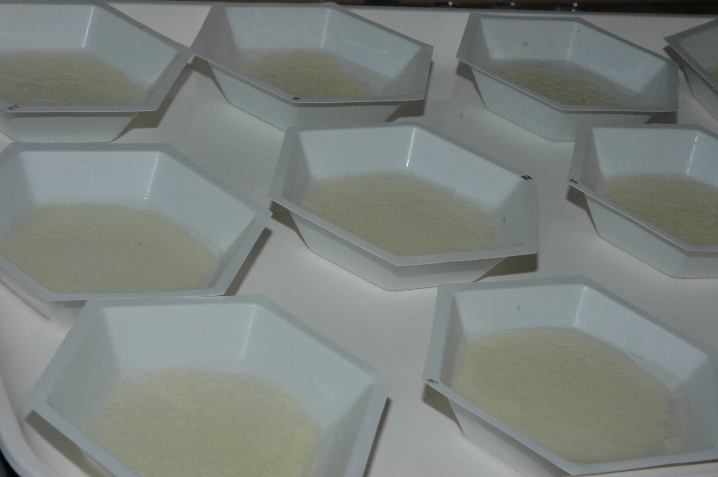 Hex trays#1DSC_0640.JPG