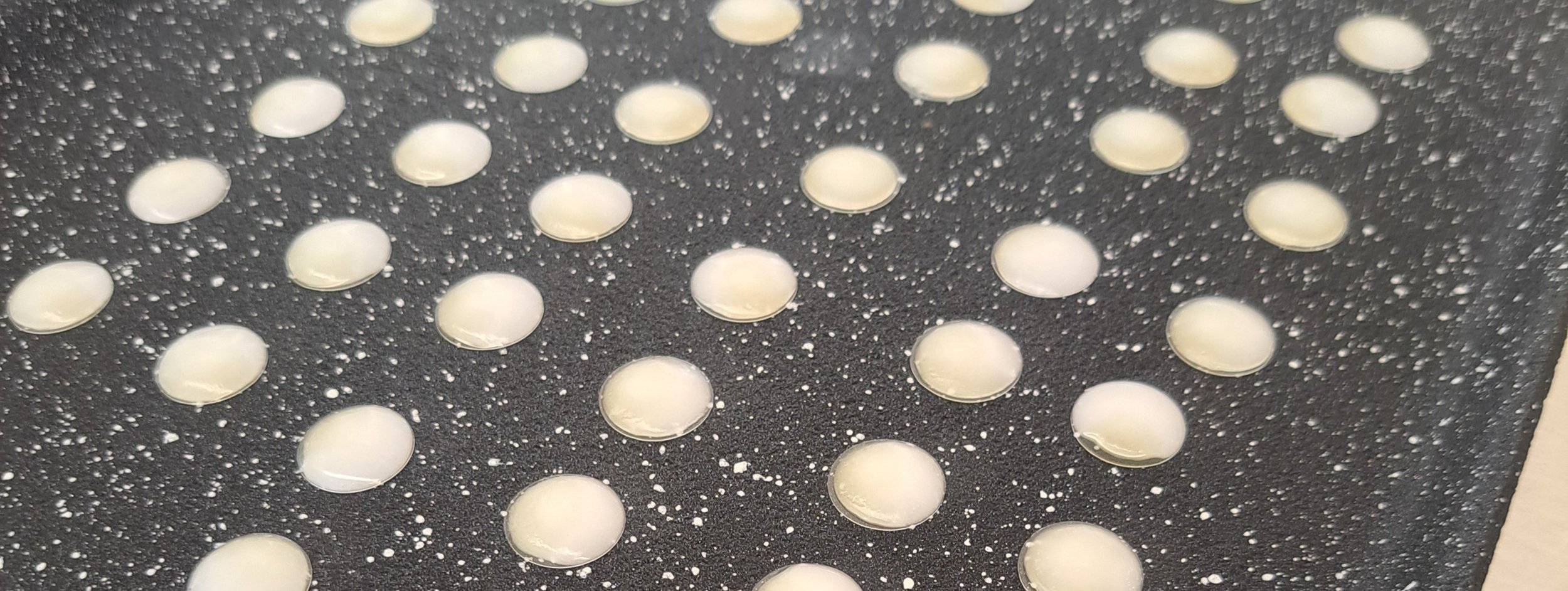 coverslip processing image.jpg