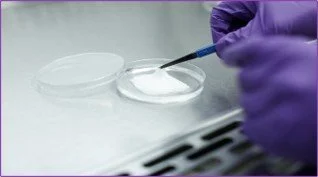 scaffold with forceps.jpg