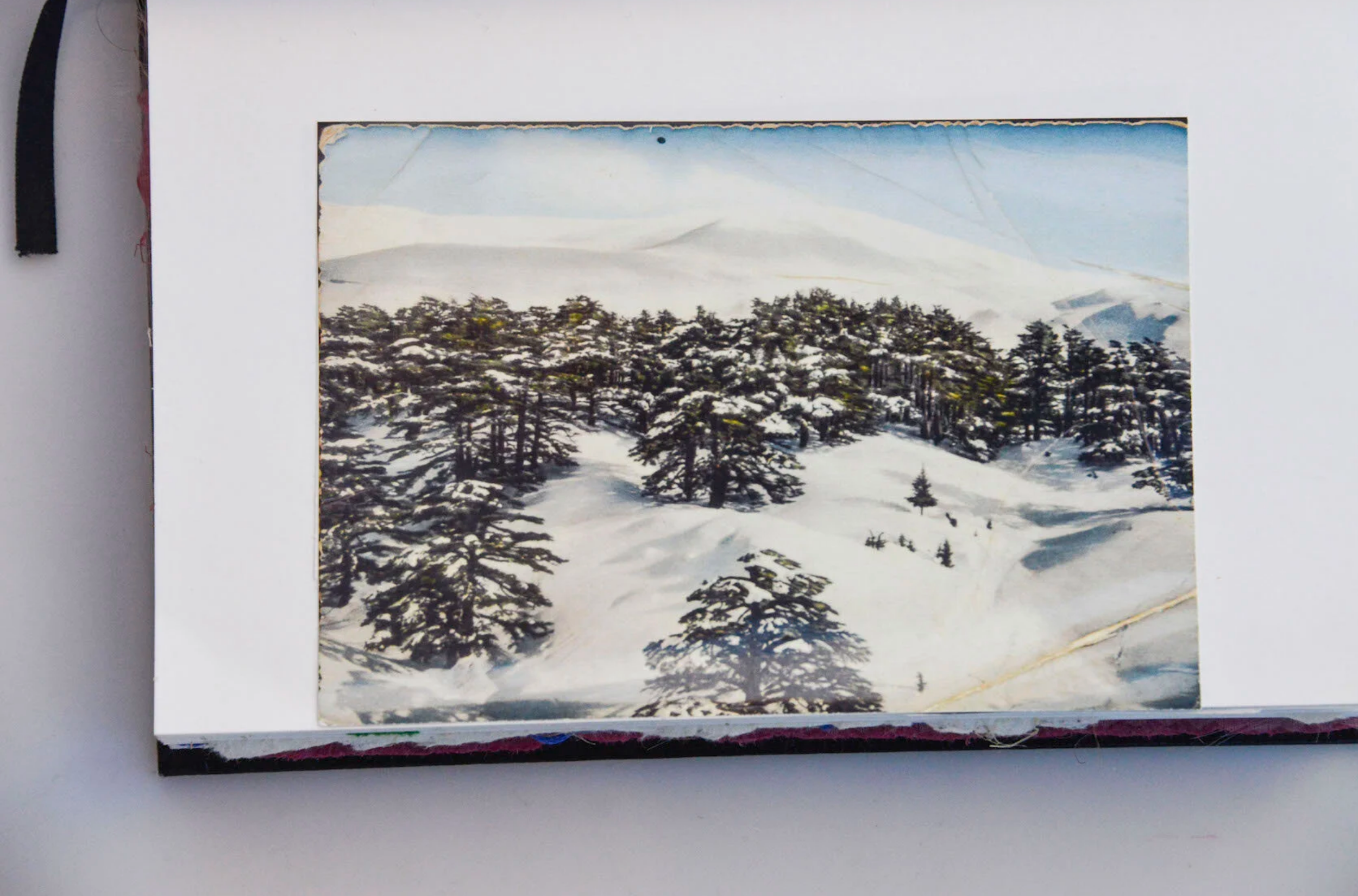 Screenshot 2026-03-22 at 09-25-55 vane barini.png