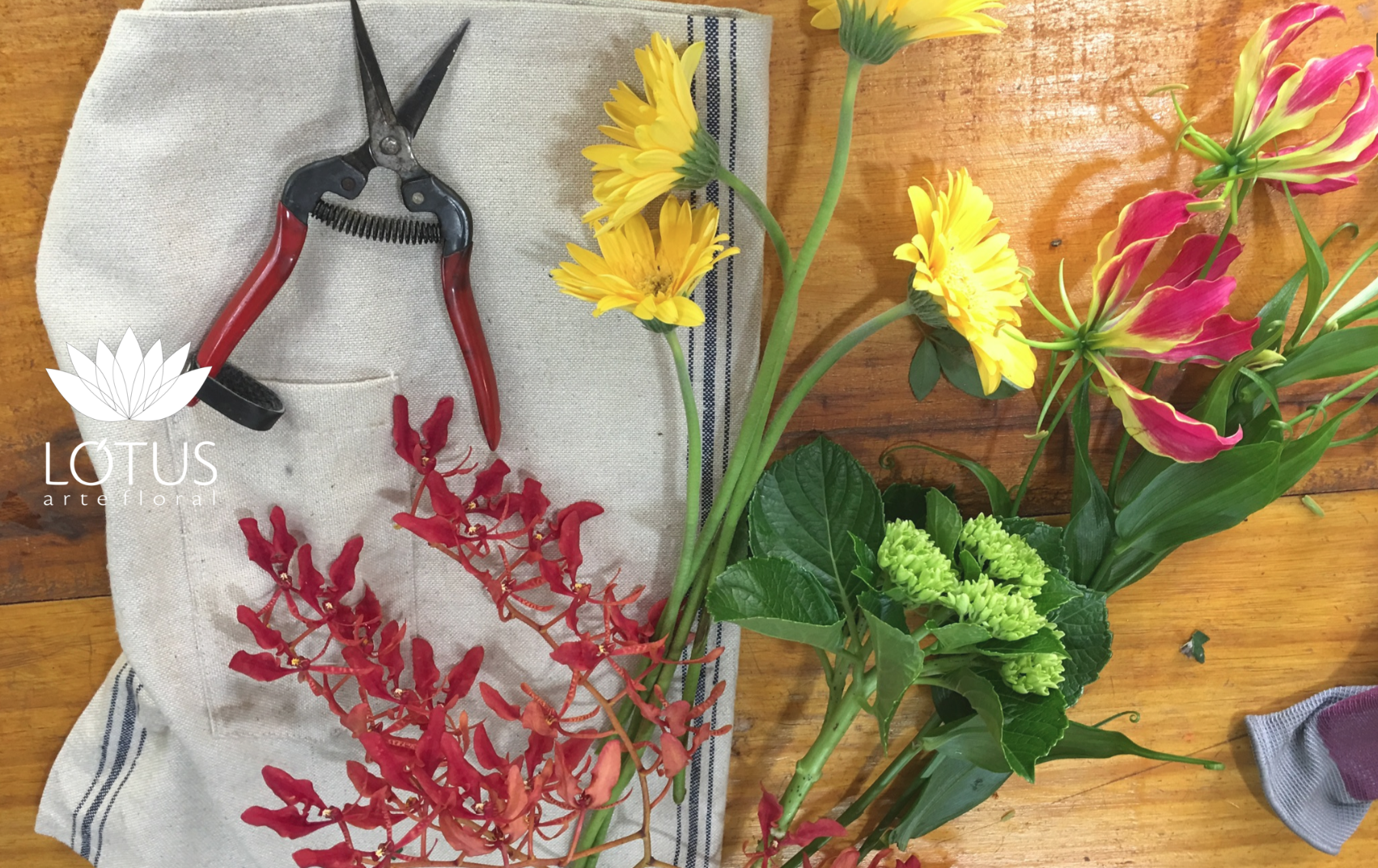 lotus arte floral 2017