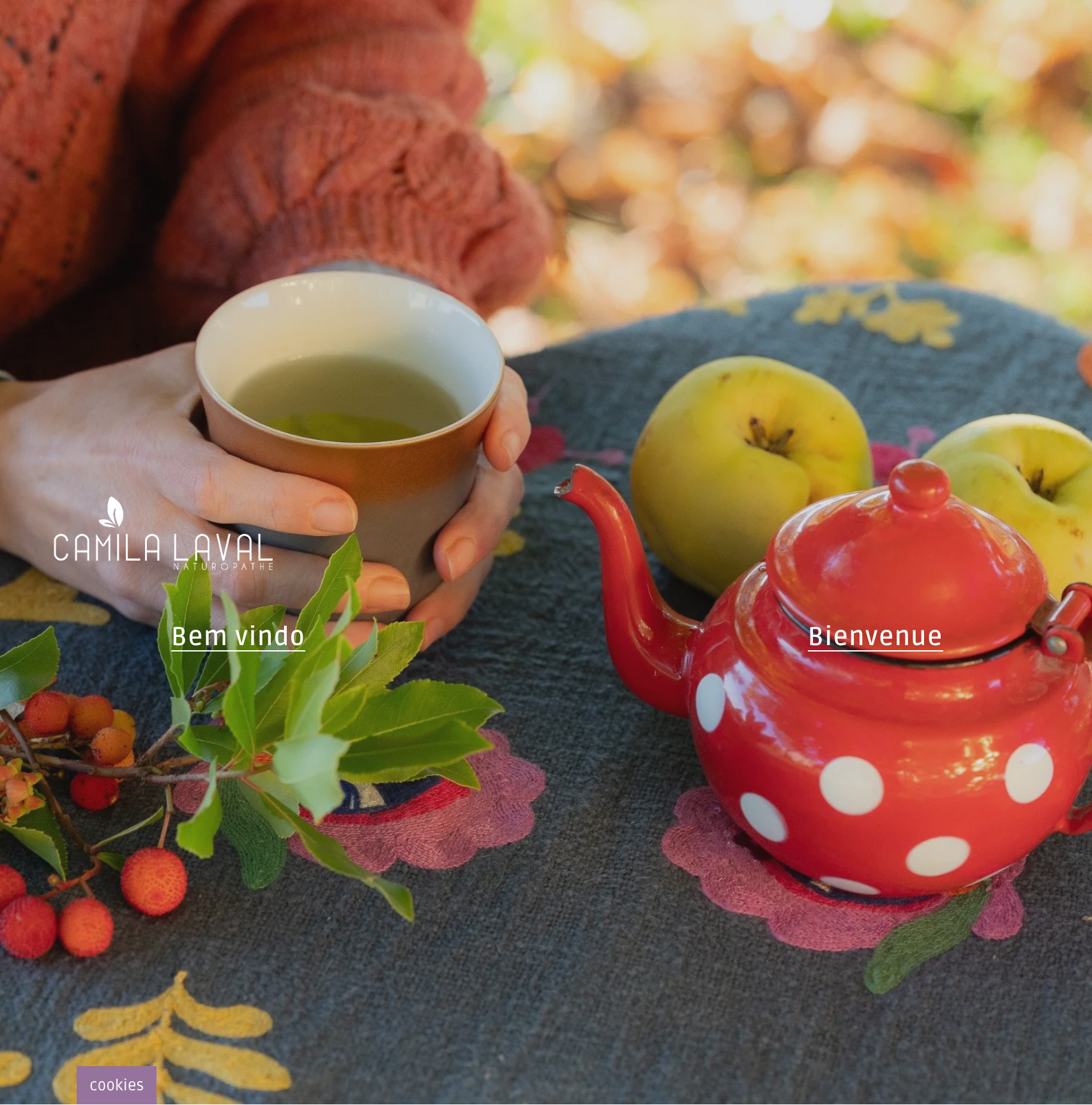 Screenshot 2026-03-15 at 10-02-28 camila laval.png