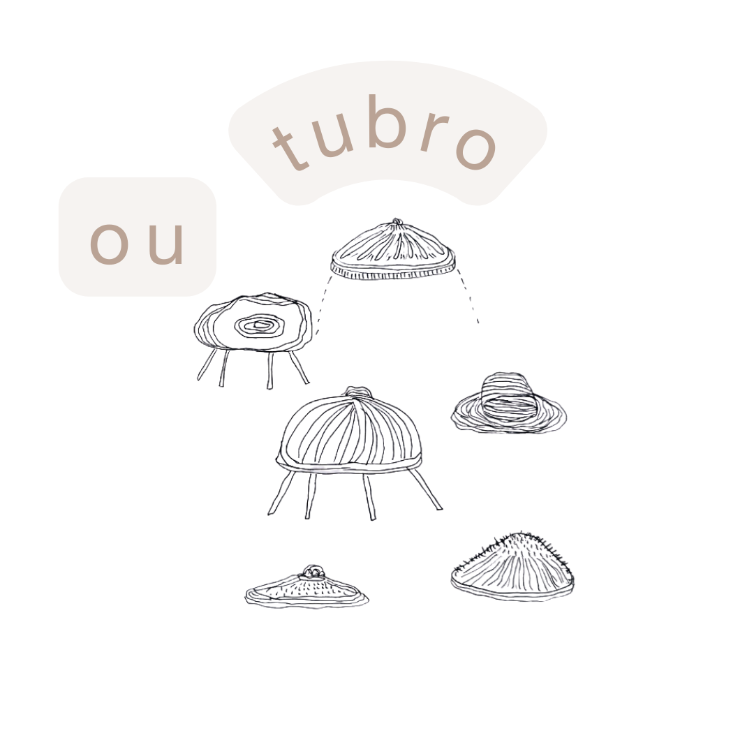outubro.webp