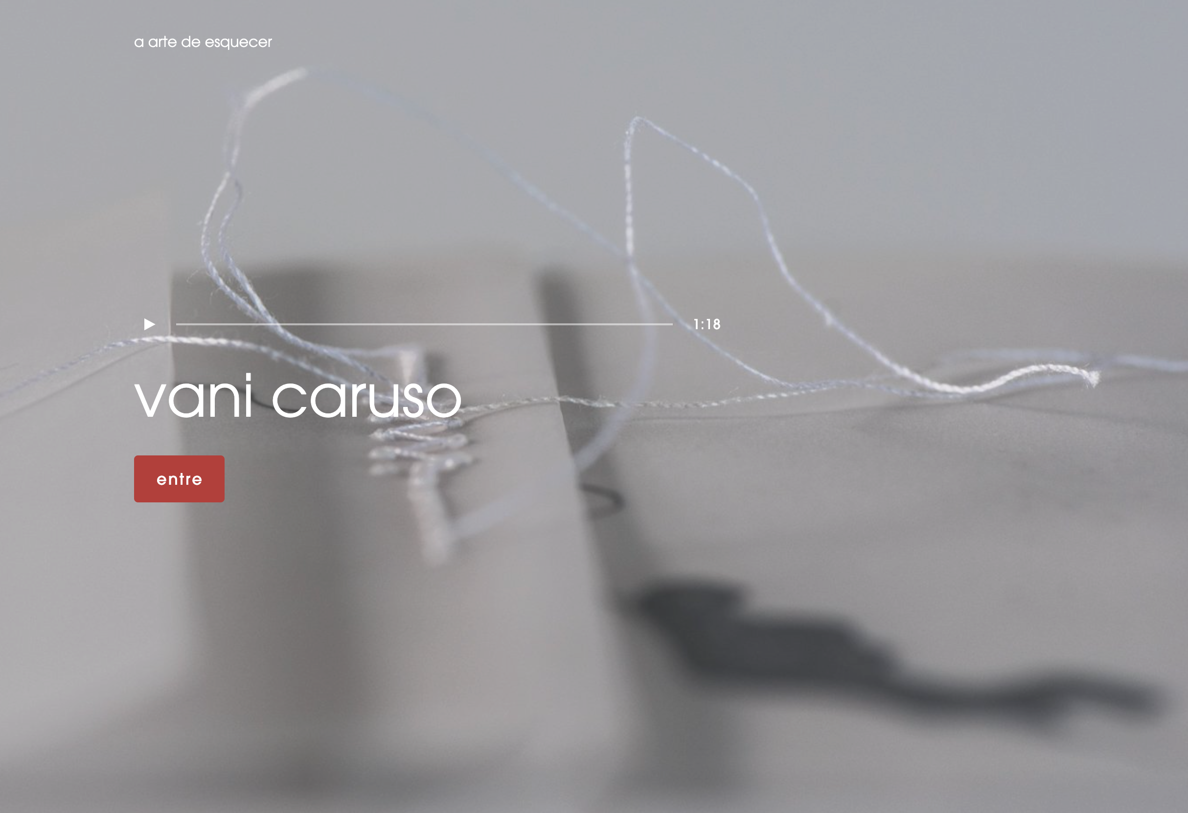 vani caruso - arte