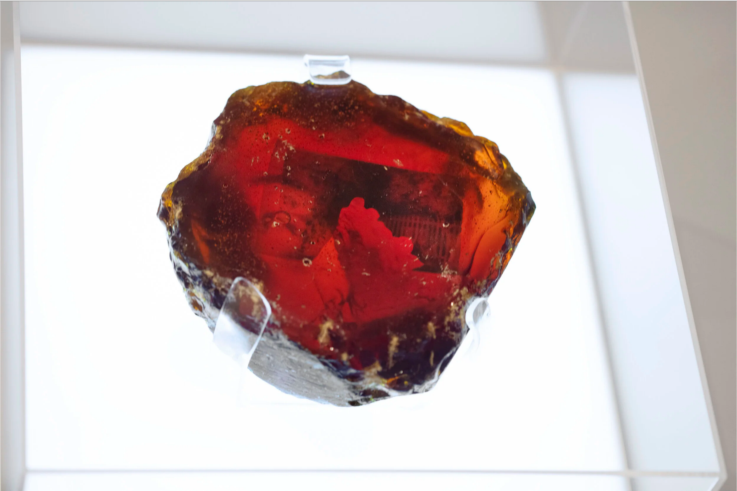 Screenshot 2026-03-22 at 09-02-06 vane barini.png