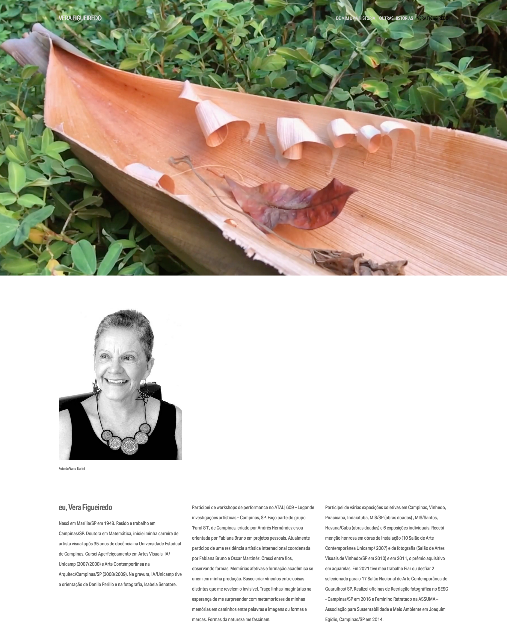 Screenshot 2022-06-29 at 17-14-17 Vera Figueiredo — Vera Figueiredo.png