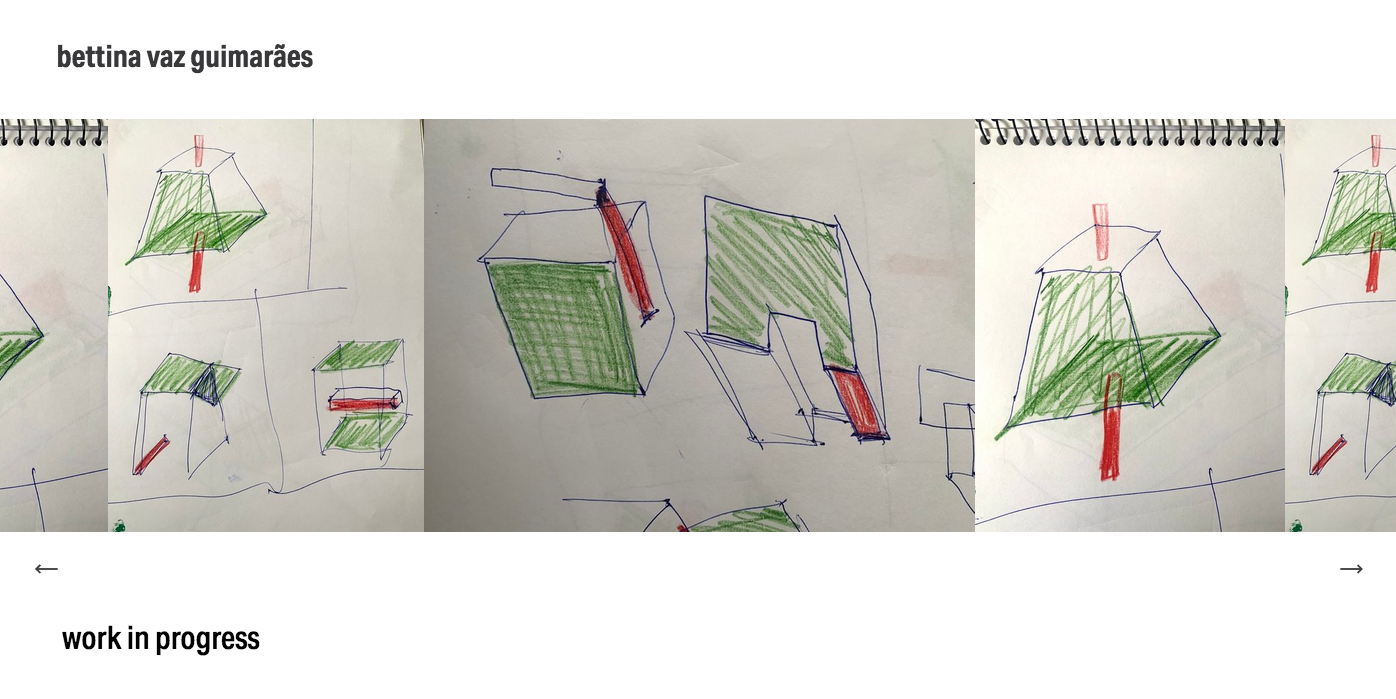 Screenshot 2022-07-29 at 08-28-01 work in progress — bettina vaz guimarães.png