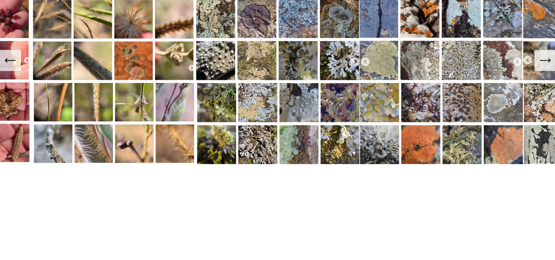 web_banner (3).png