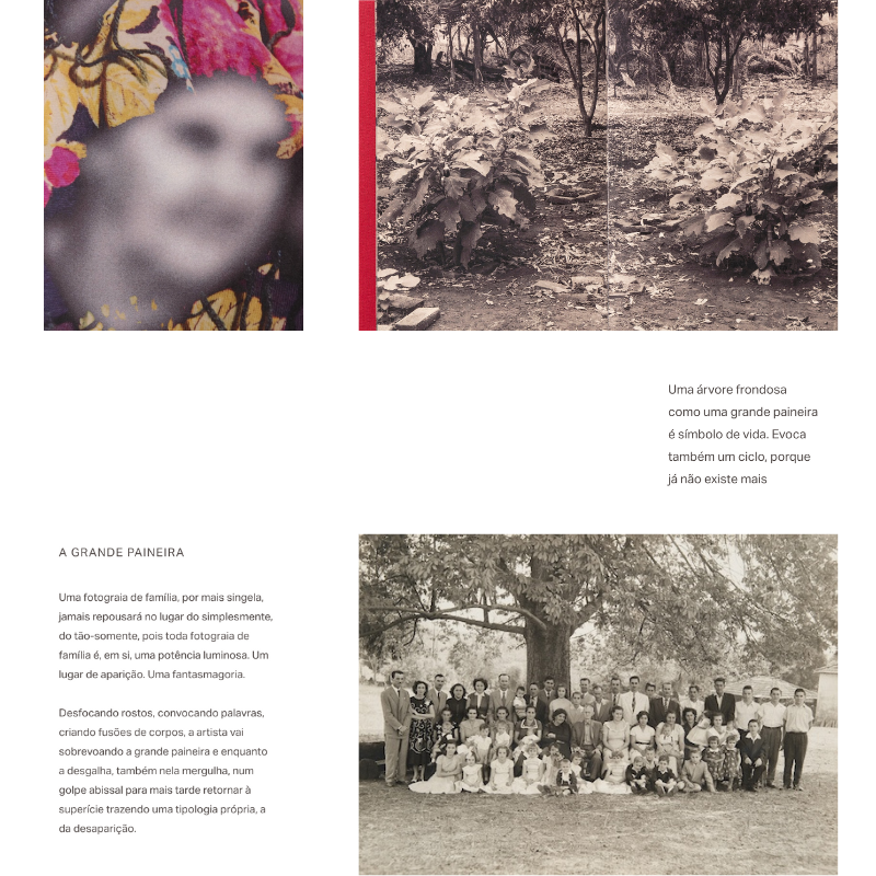 posts - 2024-10-21T173201.525.png