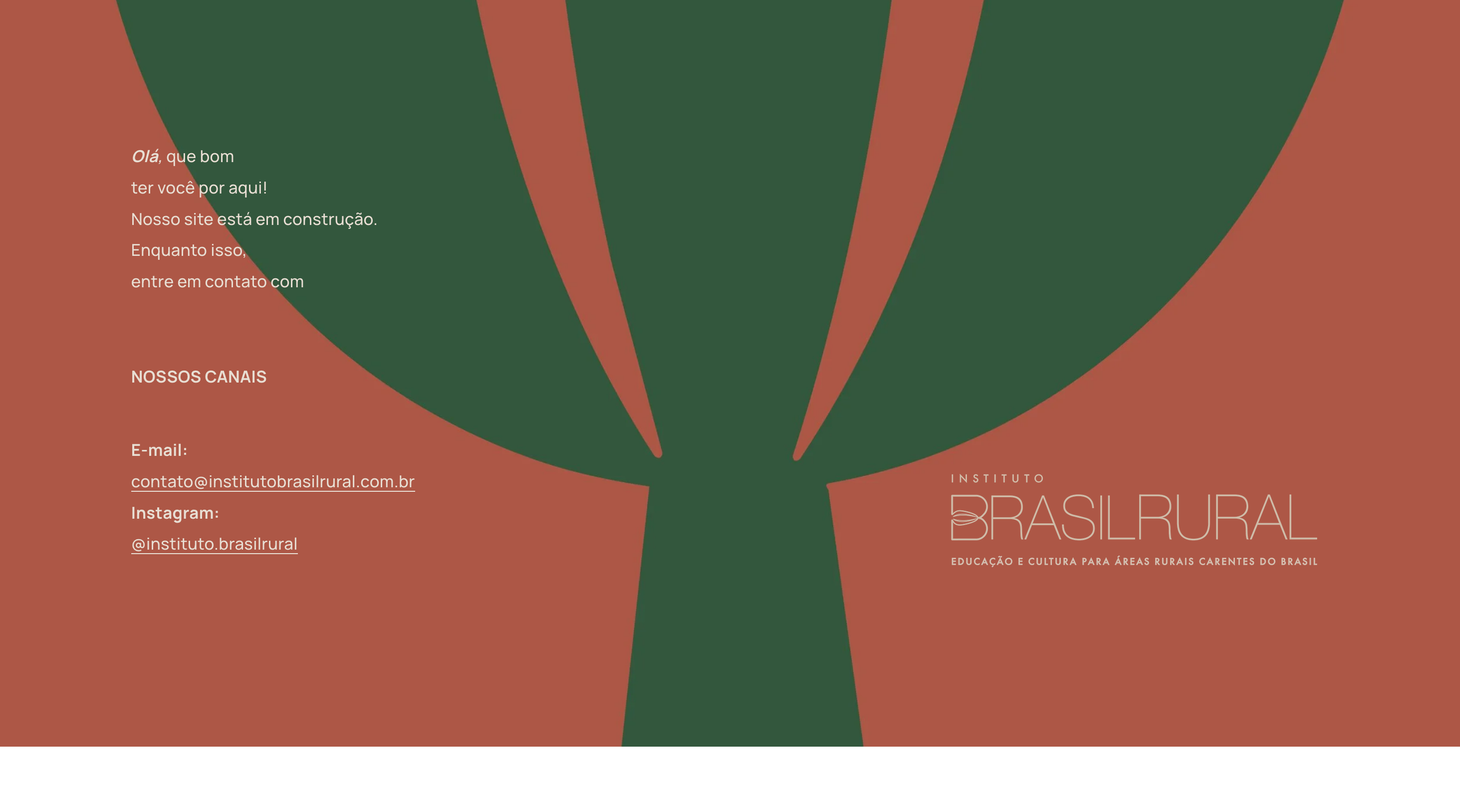 Screenshot 2026-07-01 at 09-42-48 Instituto Brasil Rural.png