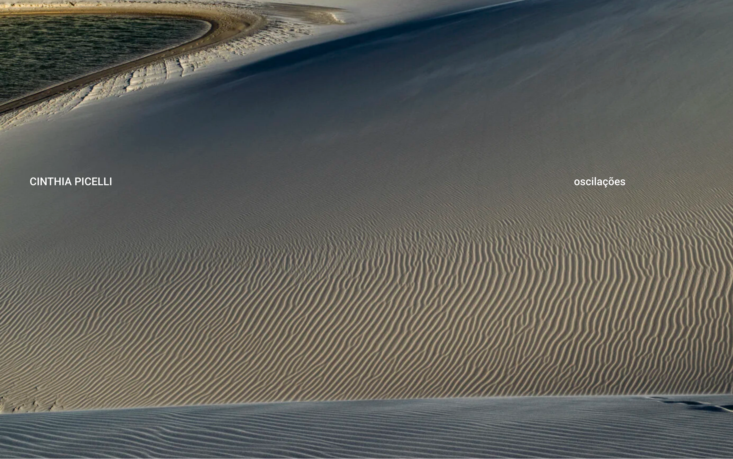 Screenshot 2026-03-22 at 09-21-36 cinthia picelli.png