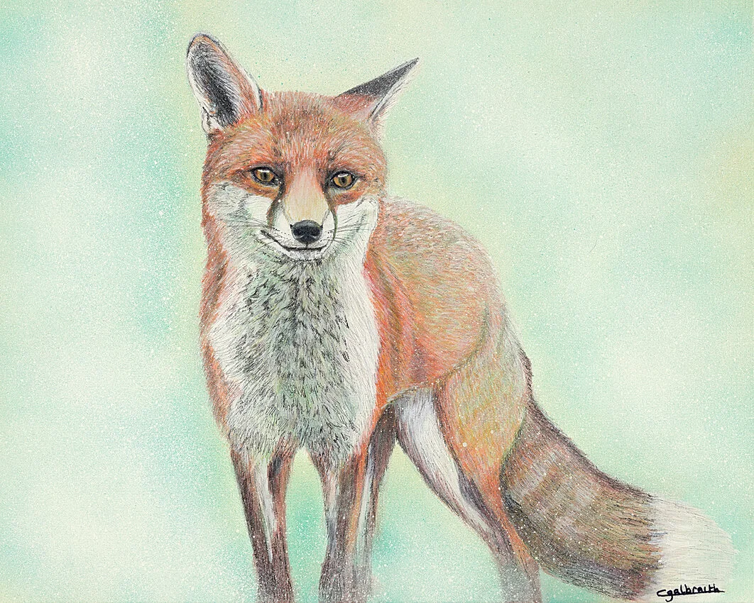 Fox in Winter, 2020, The “Winter” Collection freehand painting by Cheryl Galbraith. Acrylic & Spray Paint on Canvas. Original Art size: 40cm x 50cm. Inventory Number: 24CG2020. Contact Artist to purchase original art.