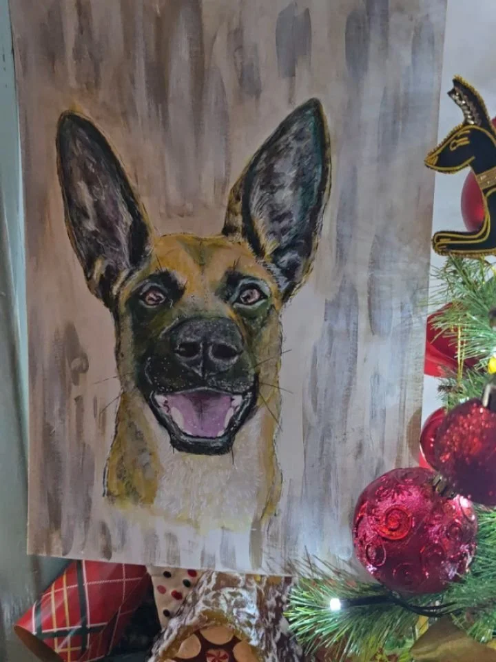 Some prepwork for doing some real dog portraits of special dogs who are looking for their forever home.

#loveandrescuedogmurals
#dogart
#dogportrait
#malinois
#malinoisart