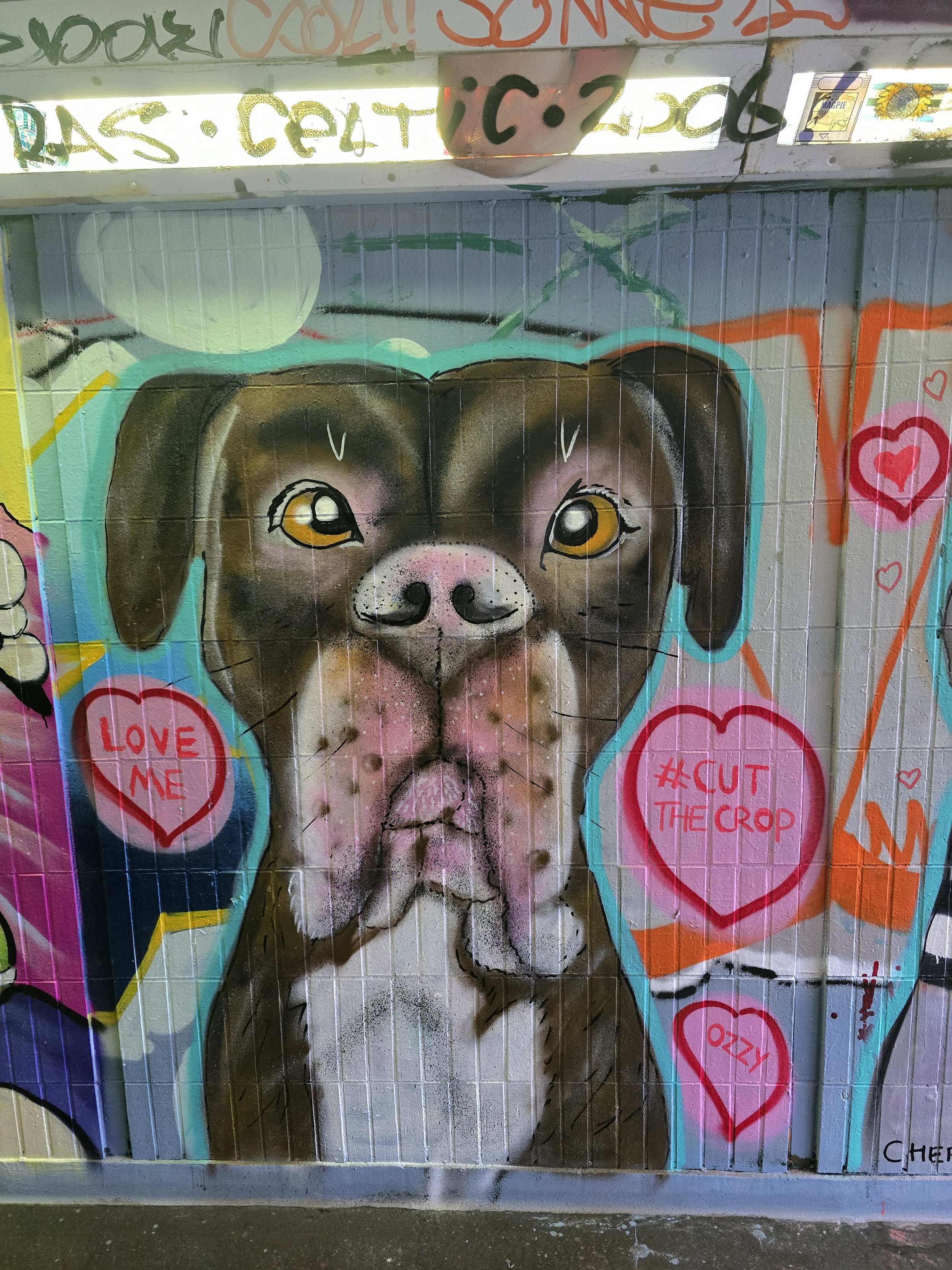 For the love a dugs - Cowcaddens Glasgow