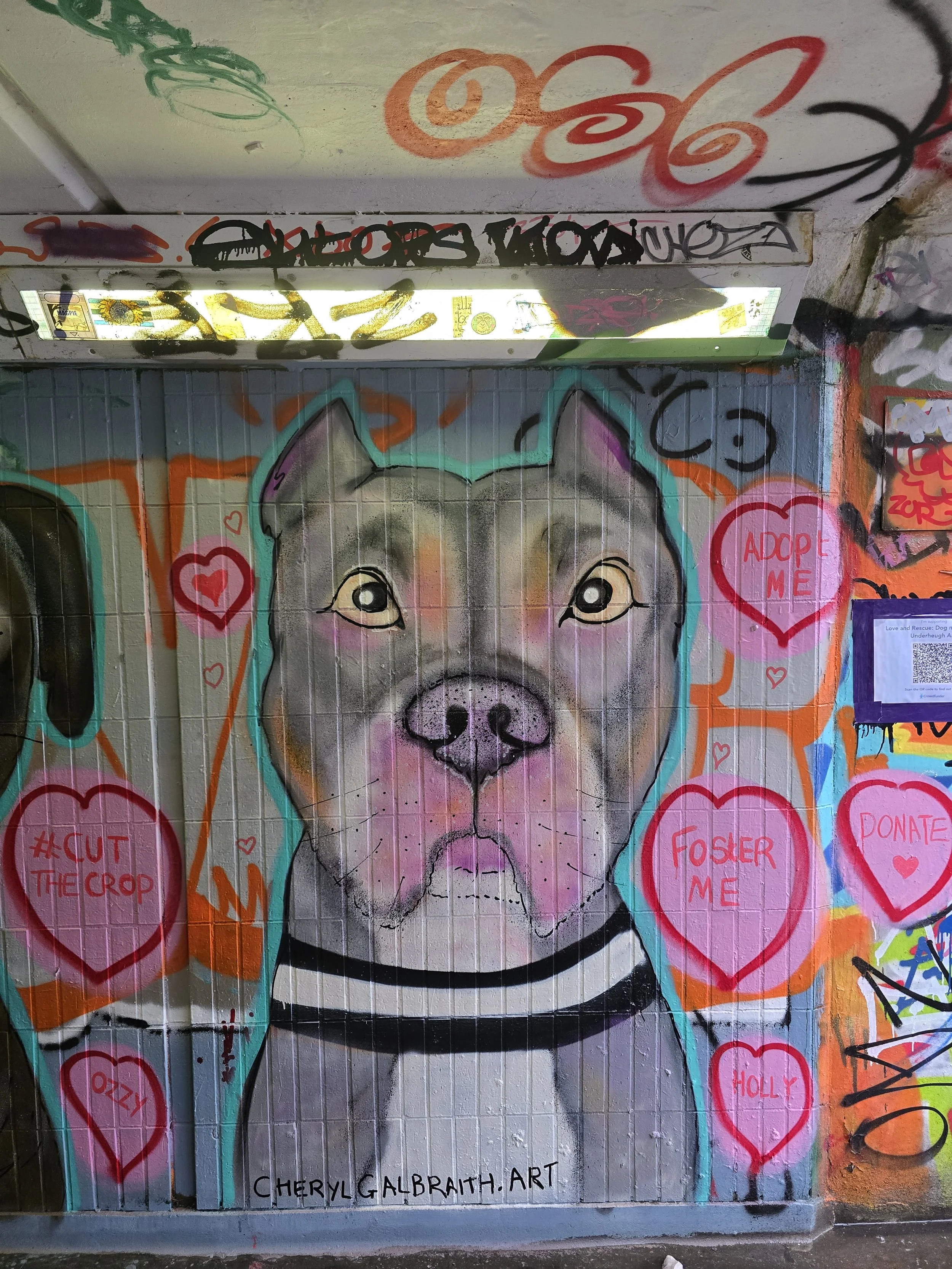 For the love a dugs - Cowcaddens Glasgow