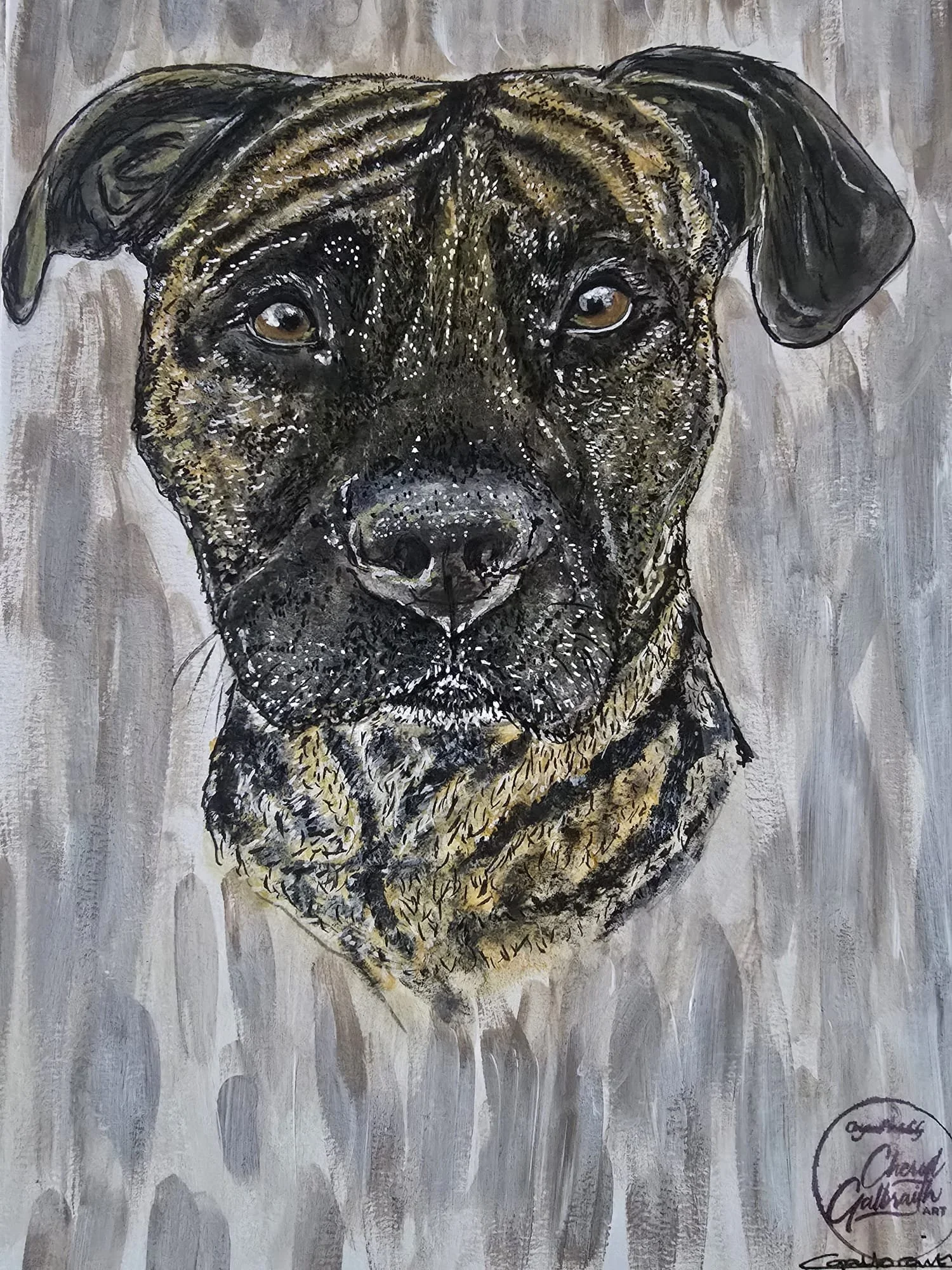 Jodie - Rescued
