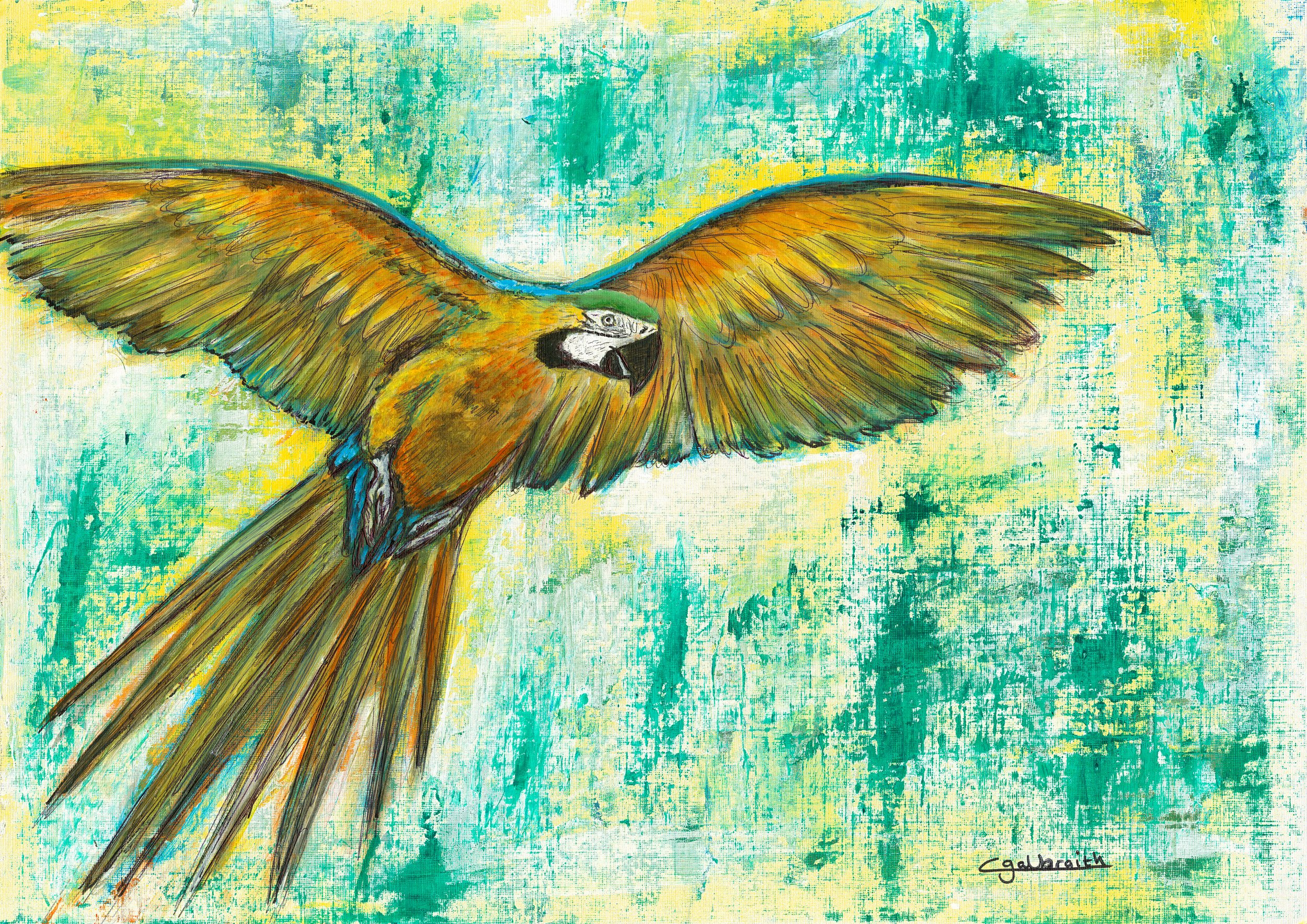 Ara Impastoish, 2021, The "Impastoish" Collection, freehand painting by Cheryl Galbraith. Acrylic on Canvas. Original Art size: 30cm x 40cm Landscape. Inventory Number: 07CG2021.
Contact Artist to purchase original art.
Price Value: £300 - Open to