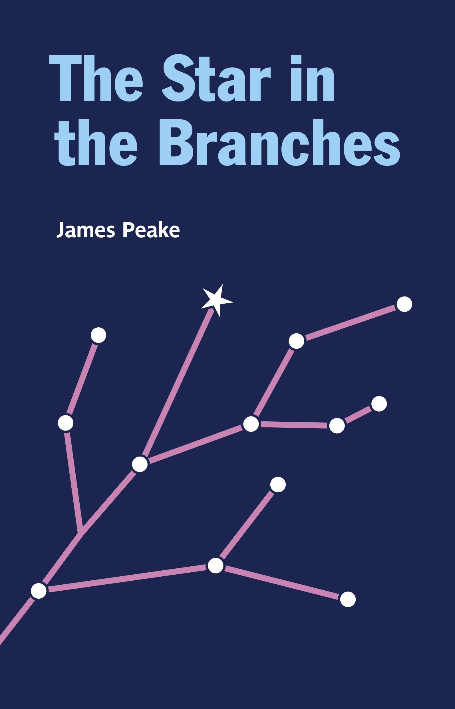 The cover of a book titled "The Star in the Branches" by James Peake, with a dark blue background and a pink and white line graph pattern.