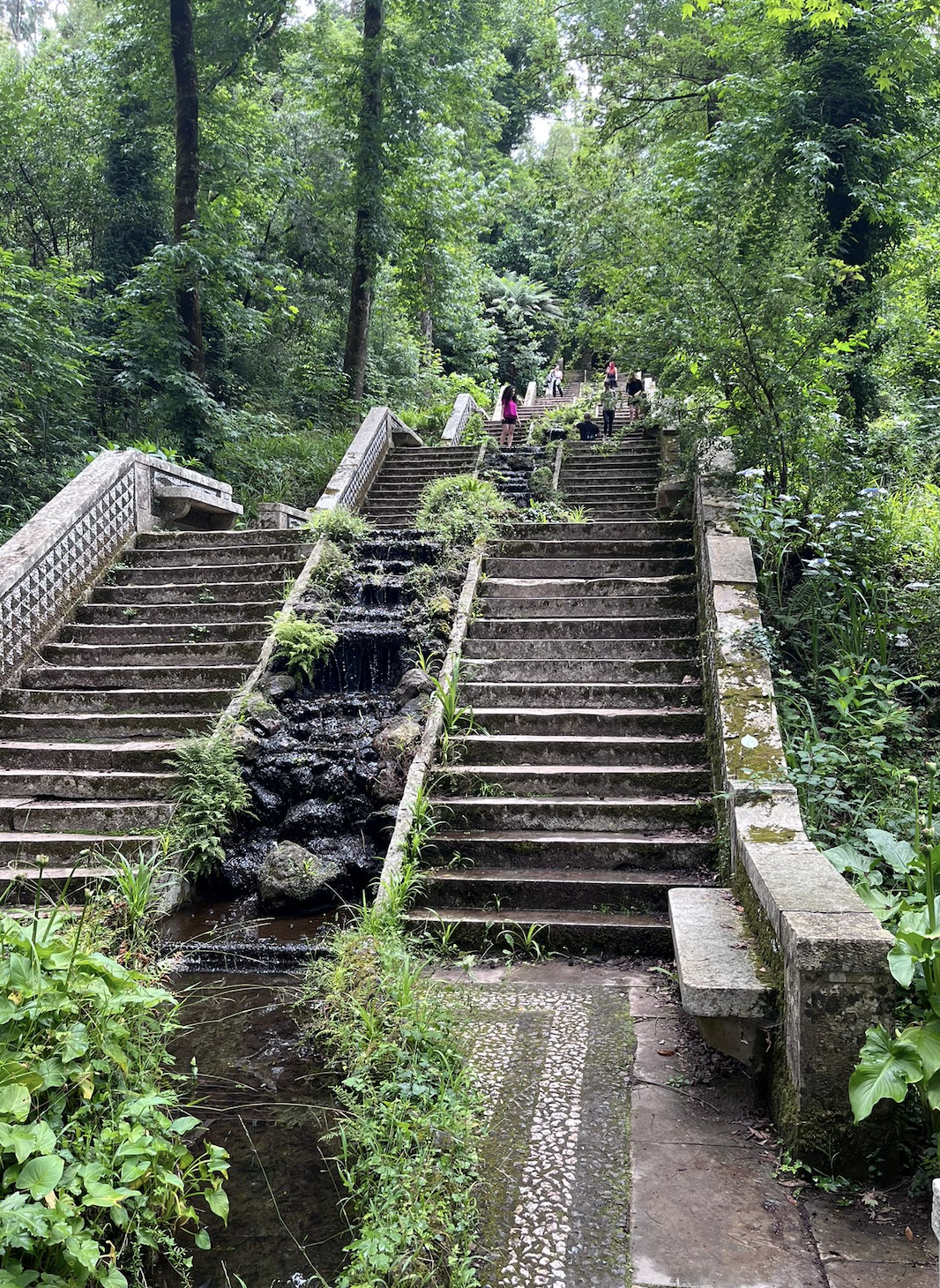 Screenshot 2025-12-09 at 1.23.31 PM.png