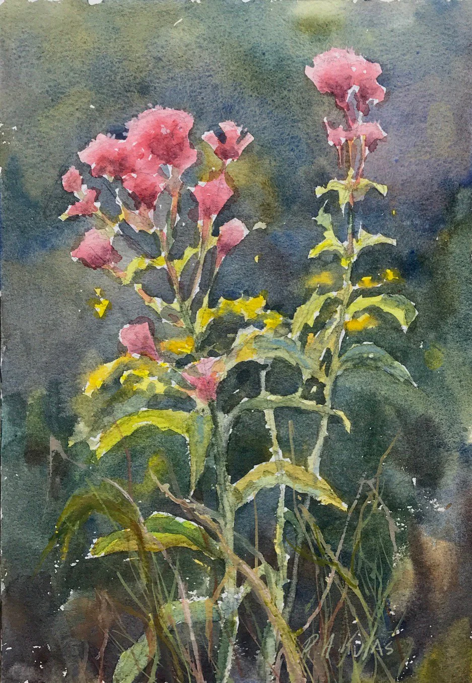 Corey
By Rob Kulas

Watercolor
7×10