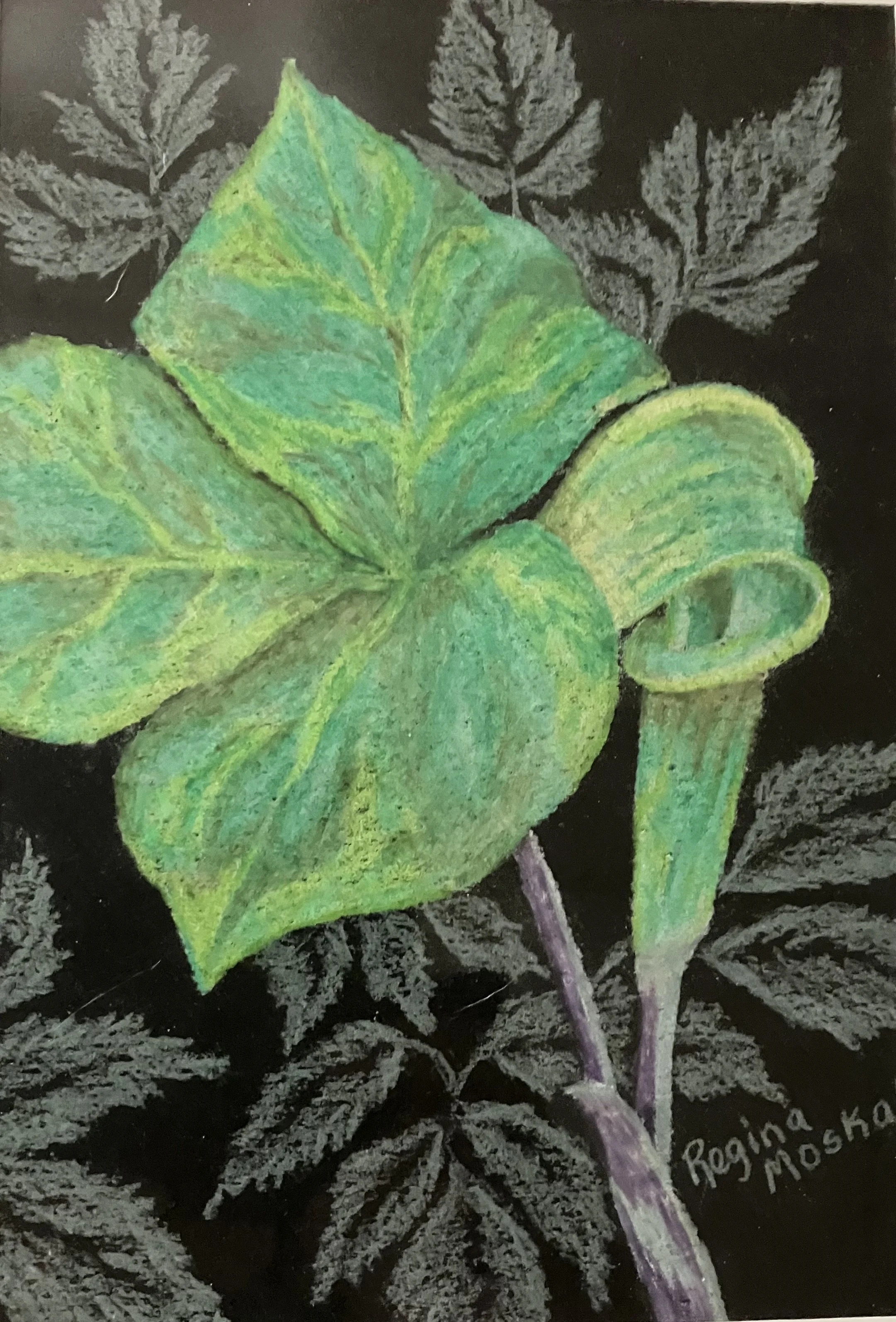 Jack in the Pulpit