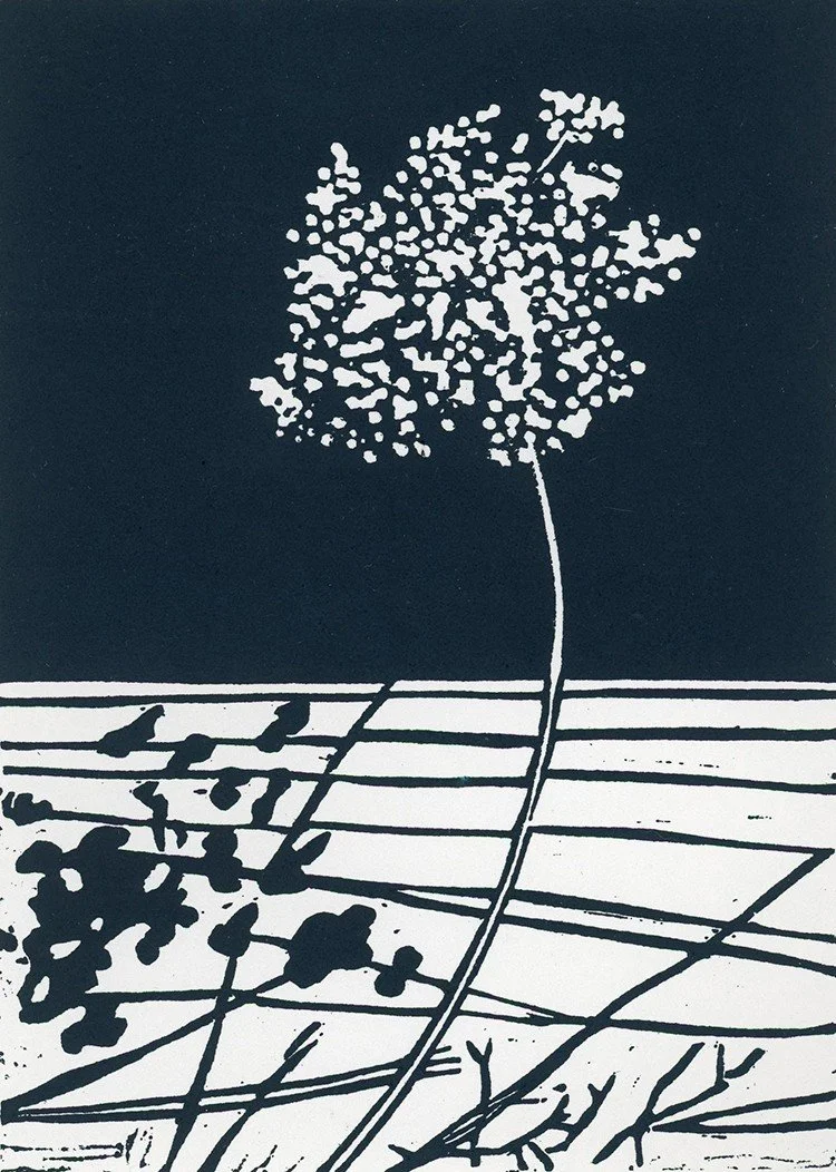 “QAL (Queen Anne’s Lace) ( Matted)