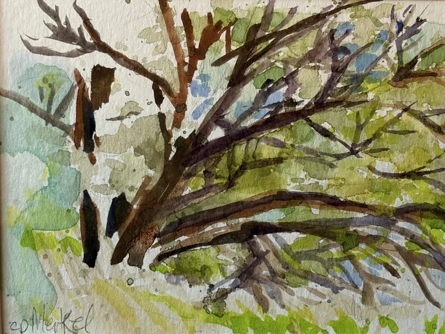 McCormick Park
By Candace Merkel

Watercolor
4x5.5