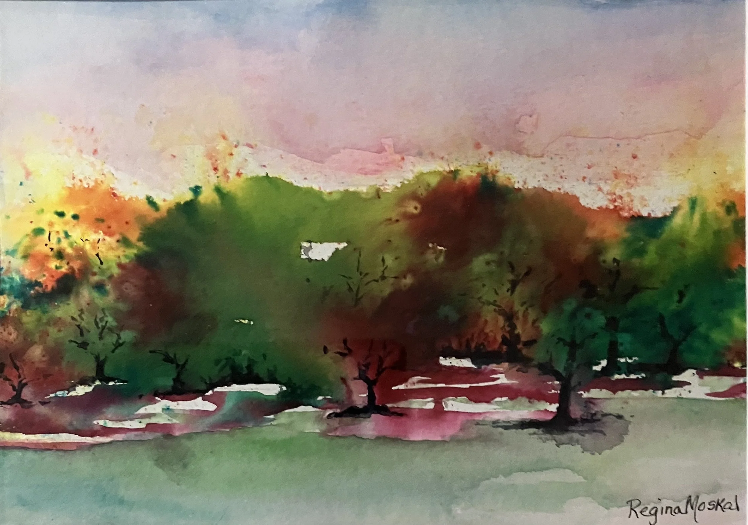 Forest Edge