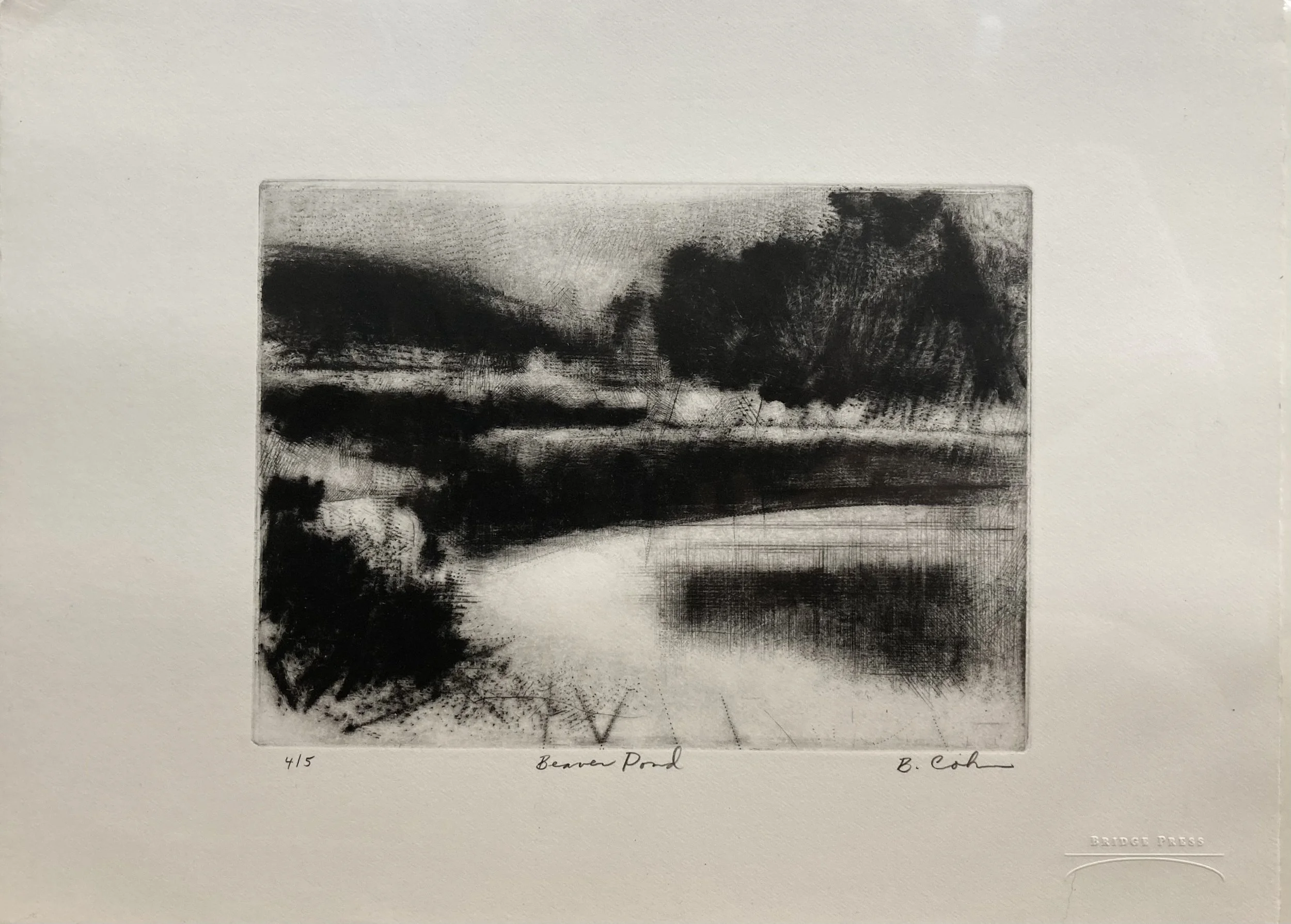 Beaver Pond