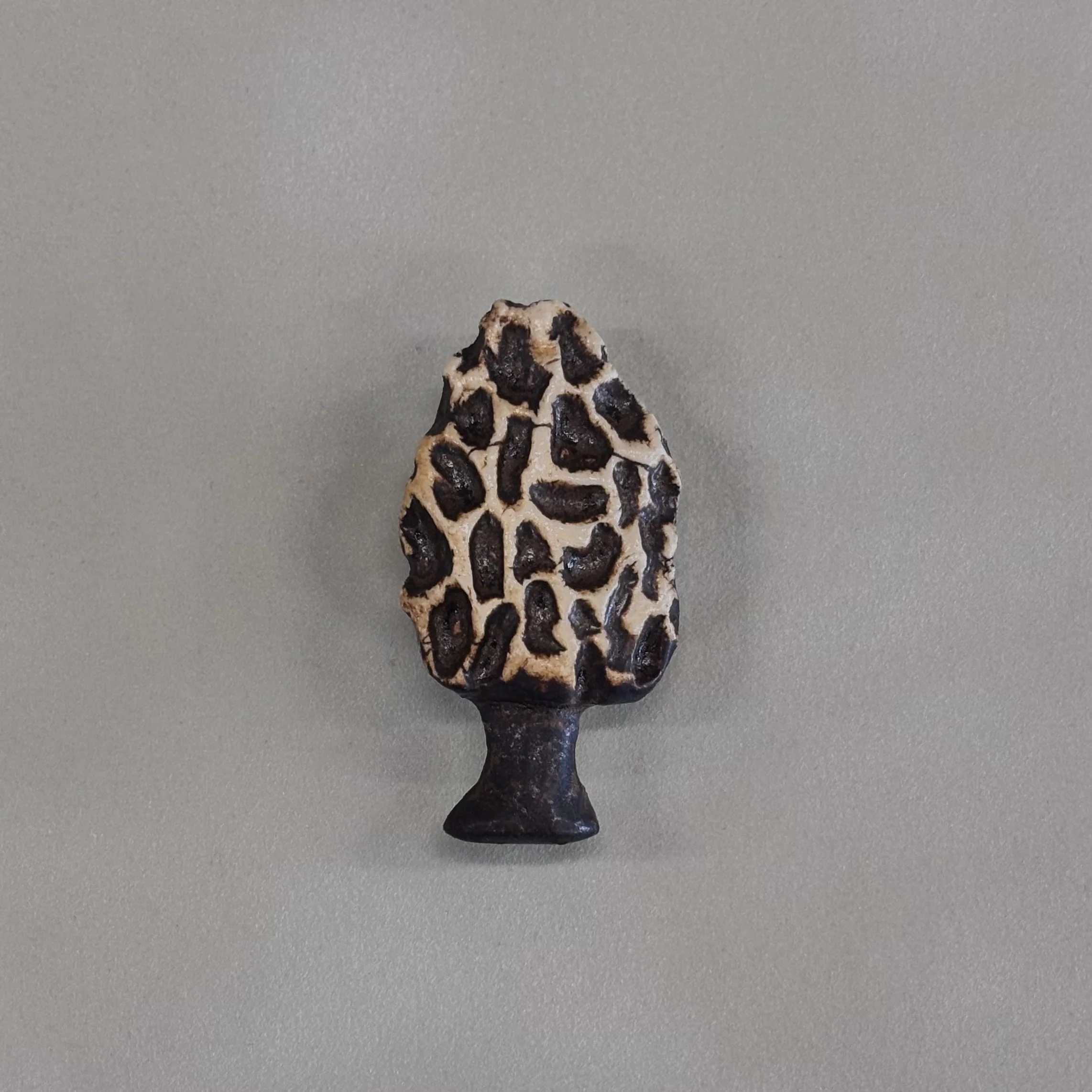 Morel Mushroom Magnet