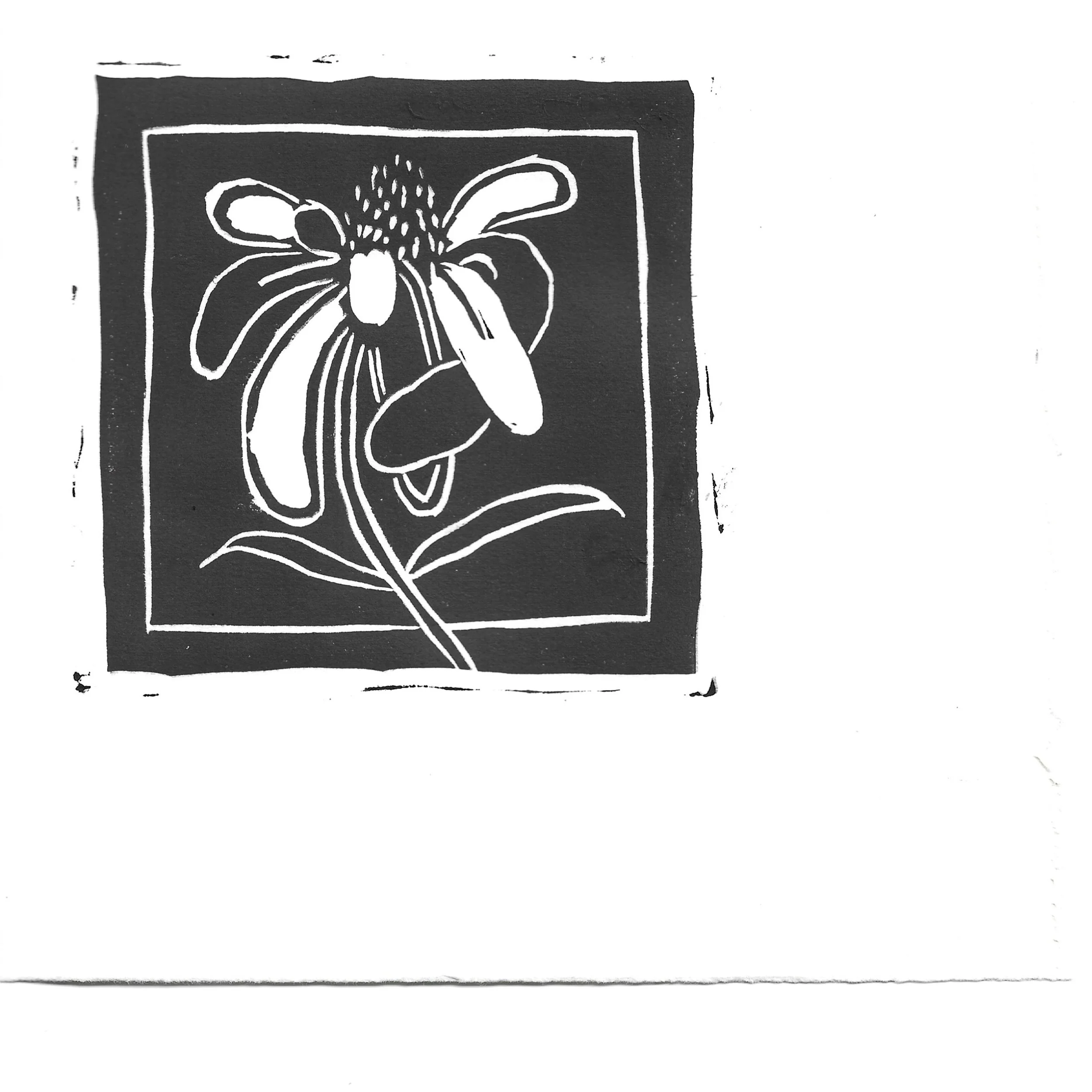 Lone Cone (unframed)
Debbie Viele
Linocut 5 x 5
$65.00