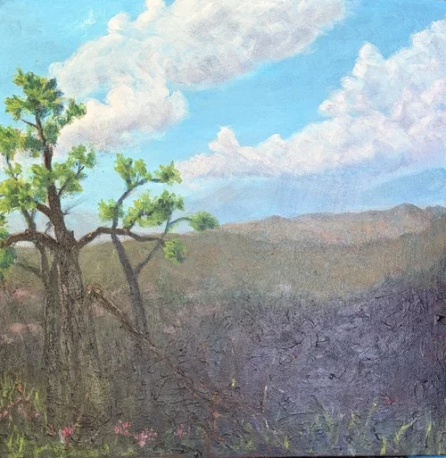 Spring