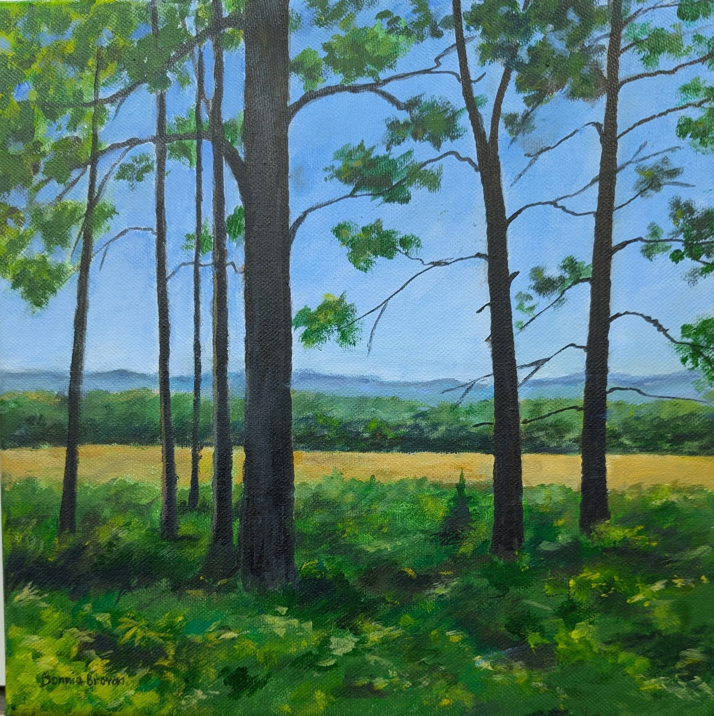 Summer Afternoon
