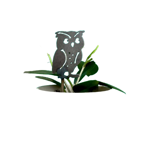 mini_owl-removebg-preview.png