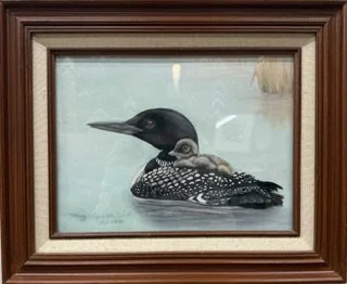 Common Loons: Mother & Chick