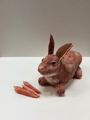 rabbit.jpeg