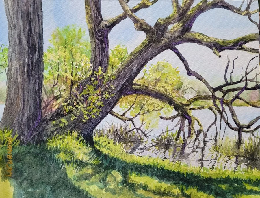 Weeping Willow
By Lisabeth Curnow

Watercolor with varnish
11×14