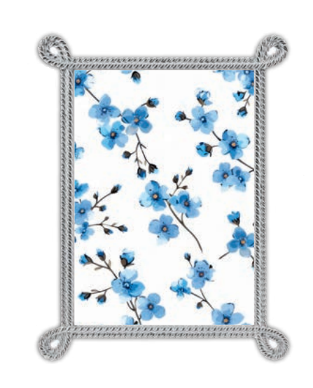 Silver Rope Corner Loop Frame