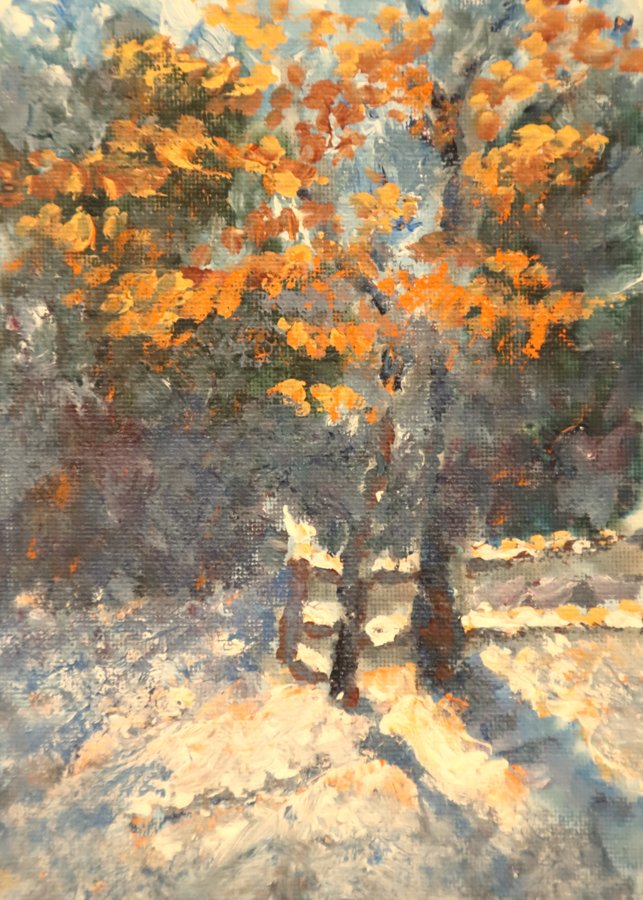 Winter Light in Backyard