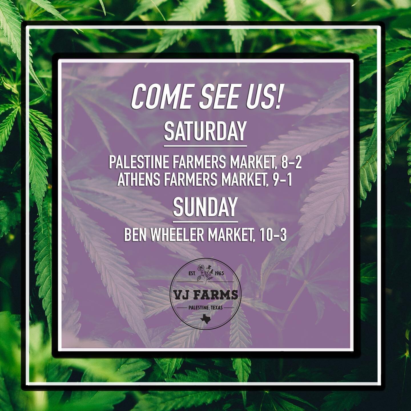 Come stock up on your CBD needs this weekend! 🌿 Find us at @palestinefarmersmarket and @atxfm on Saturday, and at @locally_forged in Ben Wheeler on Sunday. ☀️
If you can&rsquo;t make it you can always purchase from our online store (link in bio). 💚