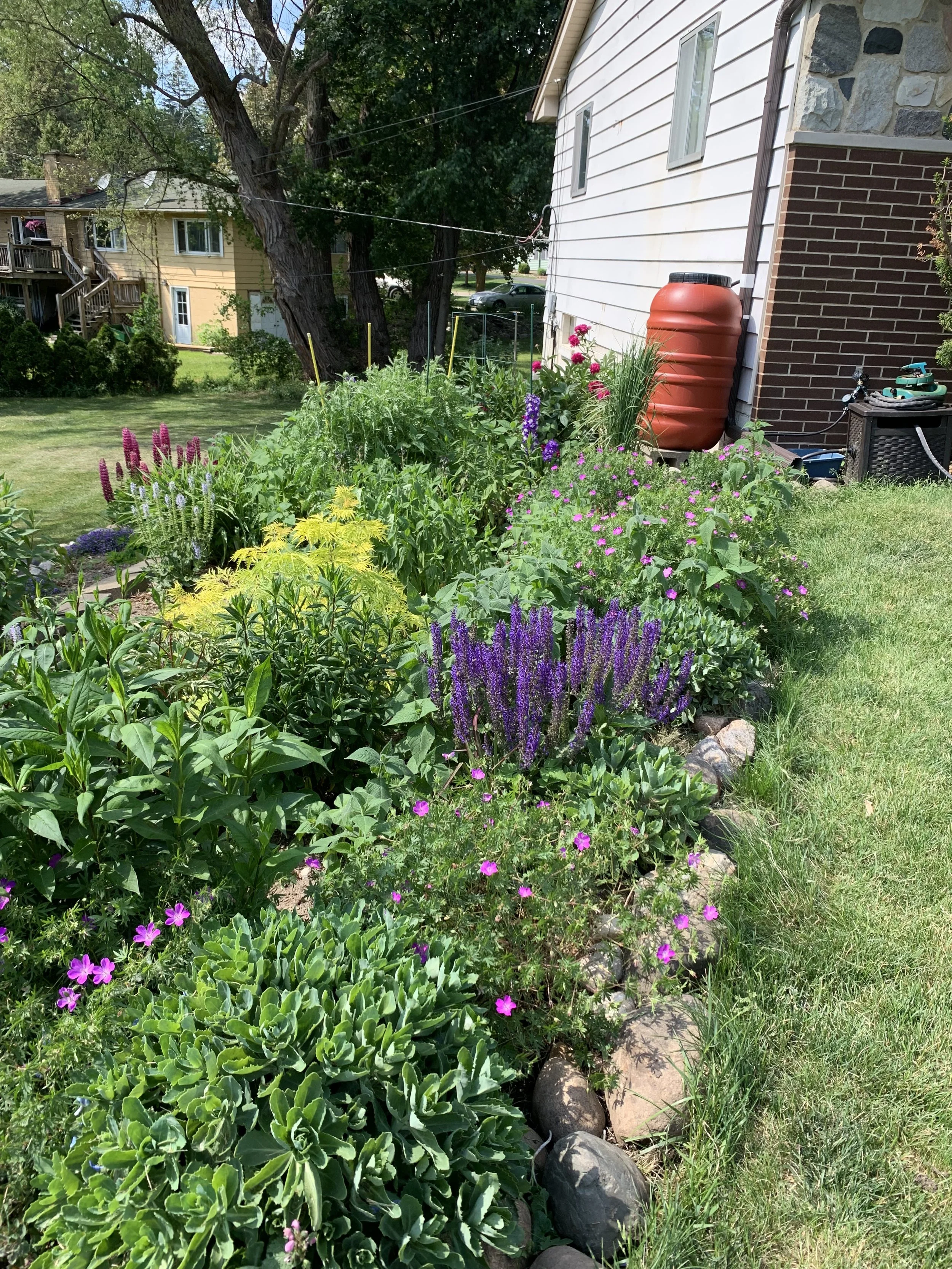 Lawn Conversions