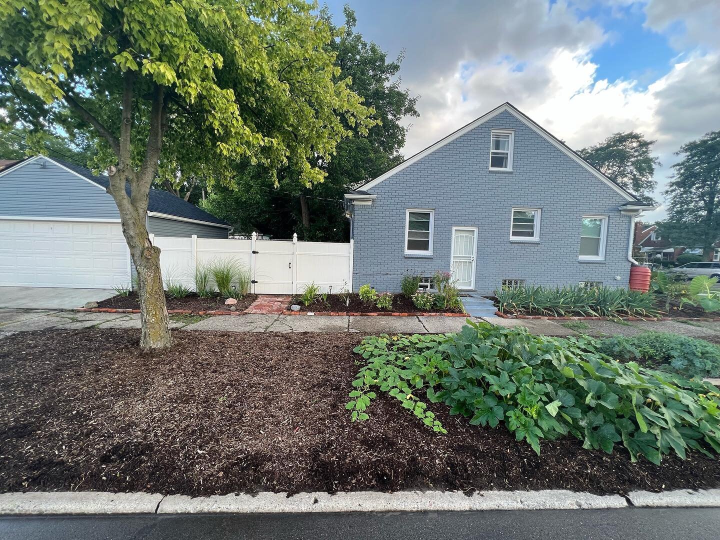 The space on the side of this house was totally dead, underutilized, and difficult to mow. We transformed it into a garden that encompasses native plants, pollinator friendly flowers, and vegetables. Amazing to see the profound impact a small garden 