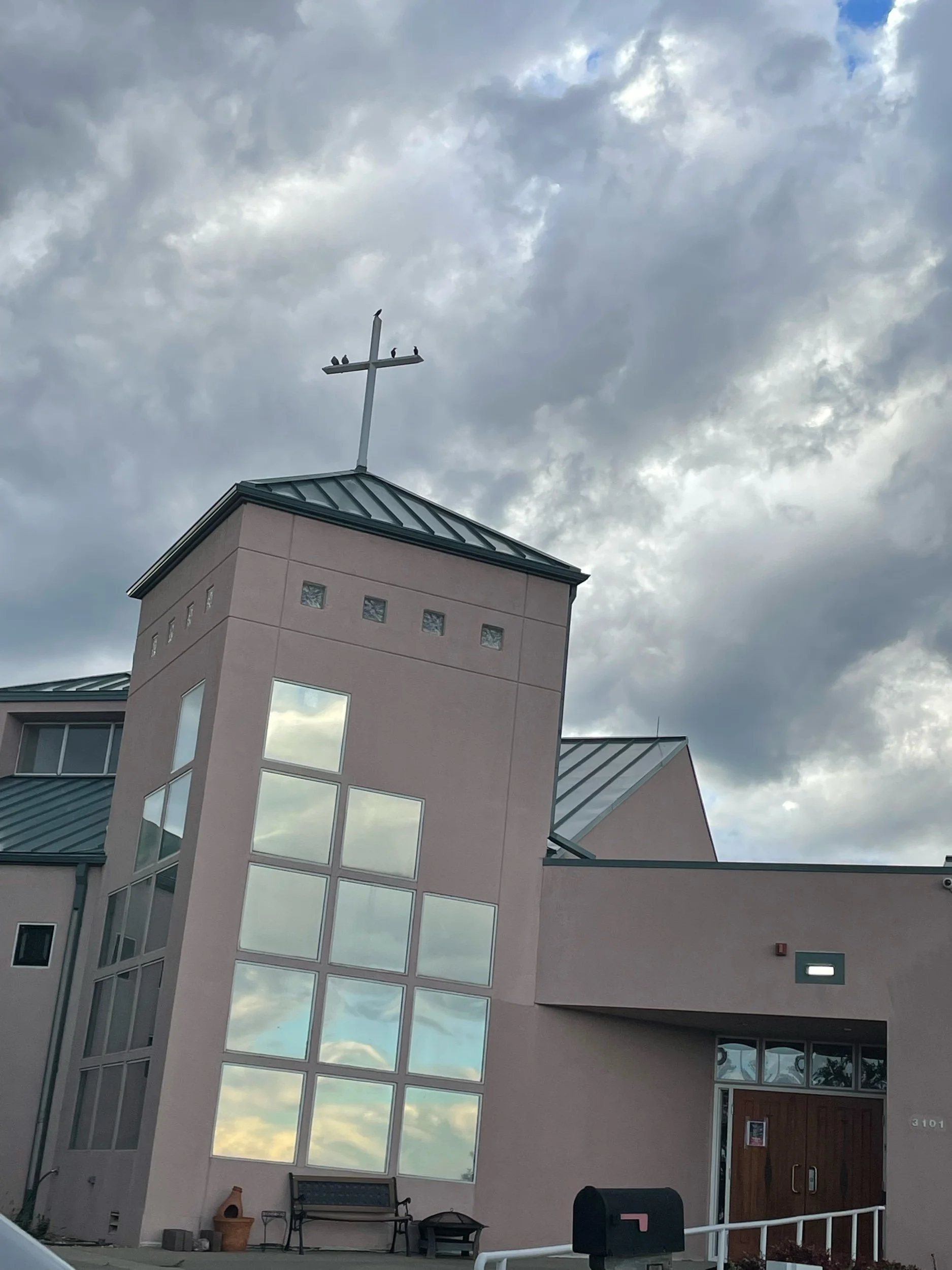IMG_7123.jpeg