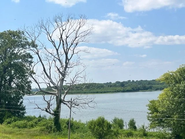 Johns Rd, Beulah, MS